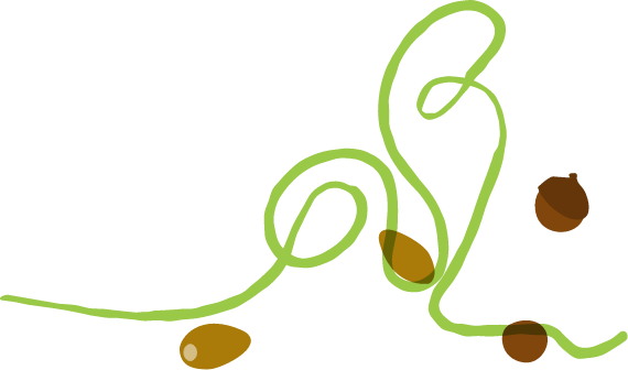 どんぐりと毛糸