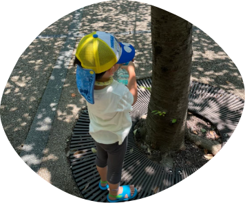 きりふきで木にシュッシュ